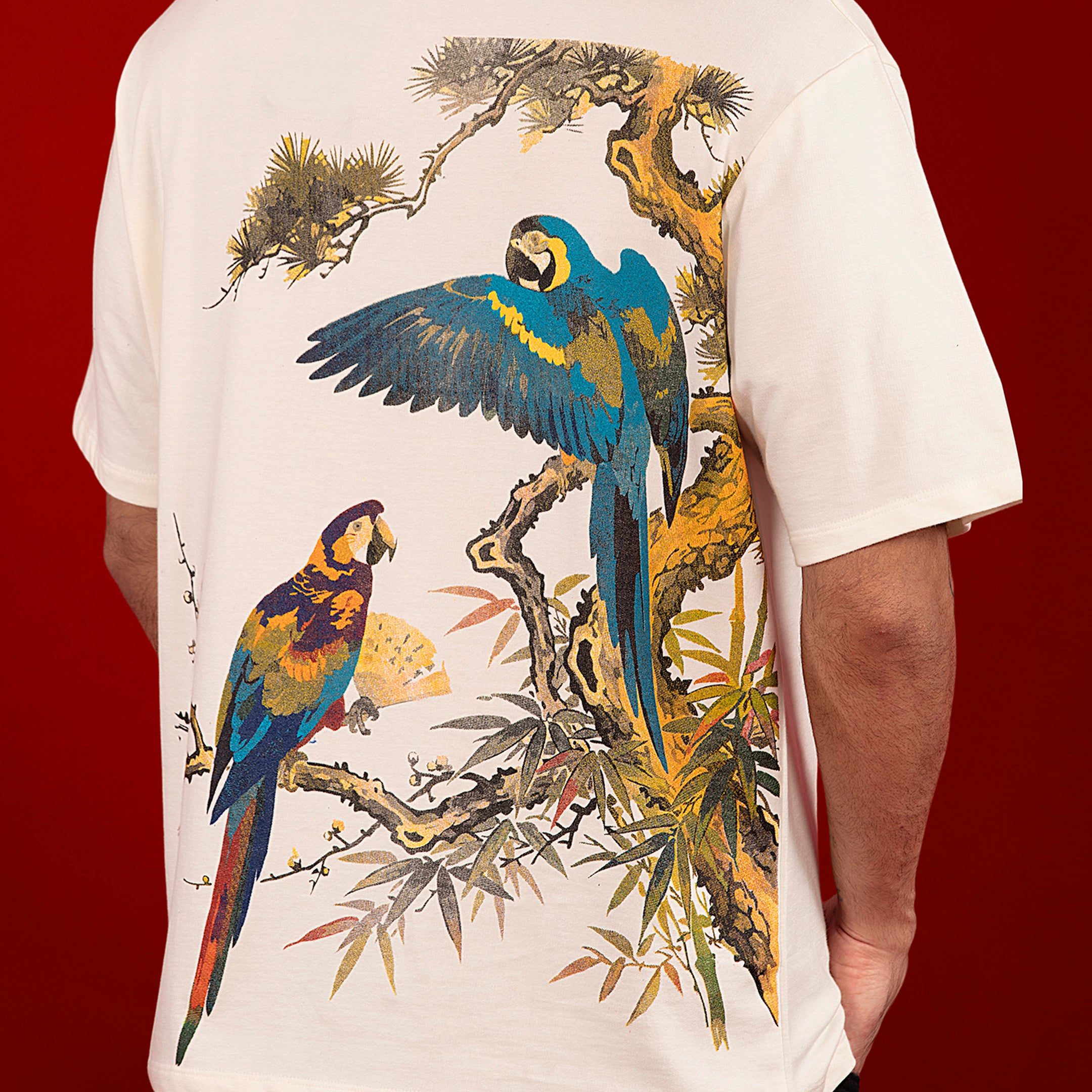 WILD HARMONY